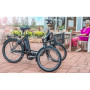 HELKAMA E-Trike, Elassisterad
