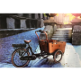 Cargo 7-V Centrummotor 13 AH Brun